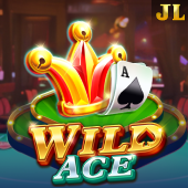 Wild Ace win63 game